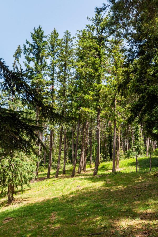 Albergo Villa San Michele Greve in Chianti Bagian luar foto