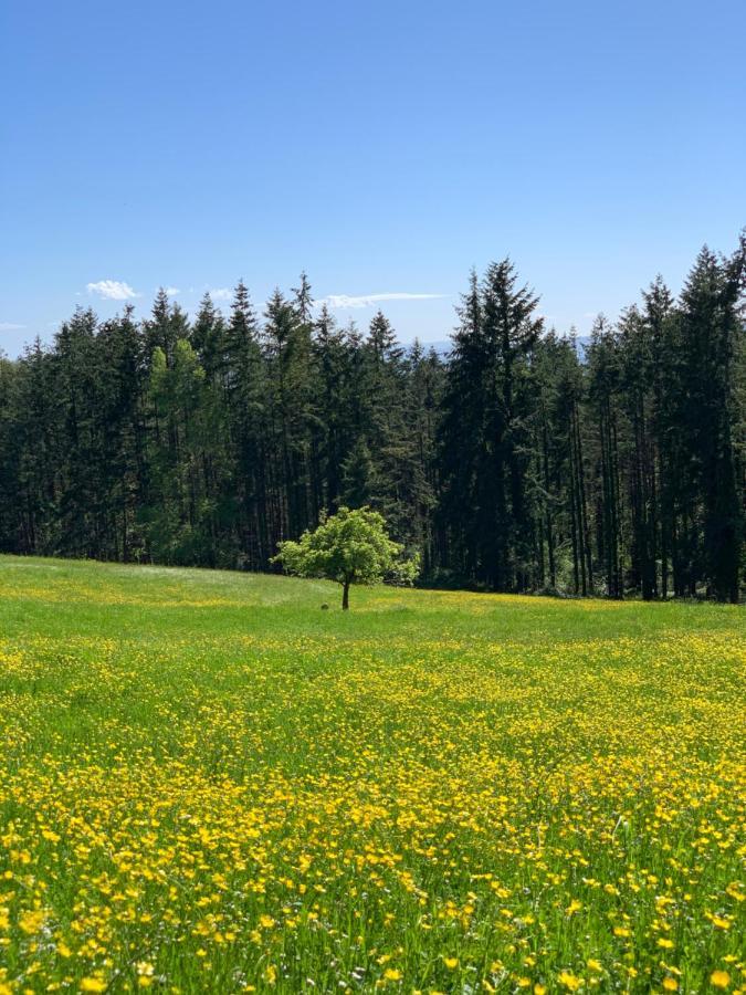 Albergo Villa San Michele Greve in Chianti Bagian luar foto