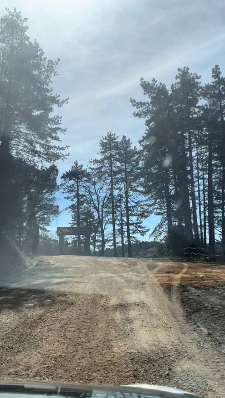 Albergo Villa San Michele Greve in Chianti Bagian luar foto